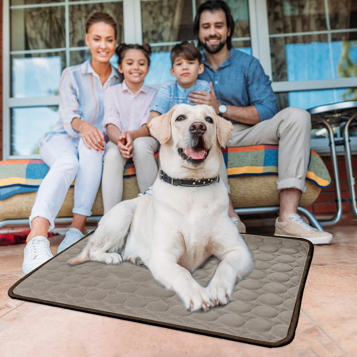 Dog Cooling Mat, Cooling Mat for Dogs and Cats, Portable & Washable Summer Self Cooling Pads, Super Absorbent Ice Pet Cool Pad (22IN28IN, Coffee)